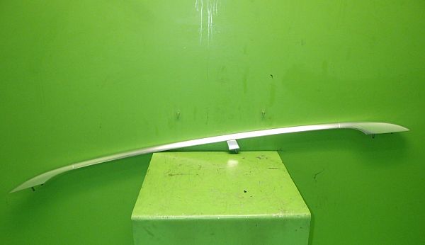 Roof rail VW PASSAT B6 Estate (3C5)