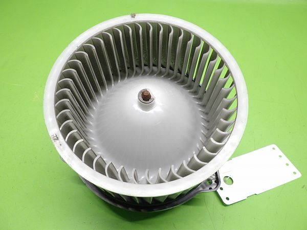 Kachel Ventilatiemotor / aanjager TESLA MODEL X (5YJX)