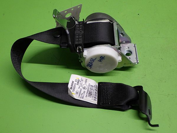 Motorsteuergerät (ECU) BMW X3 (F25)