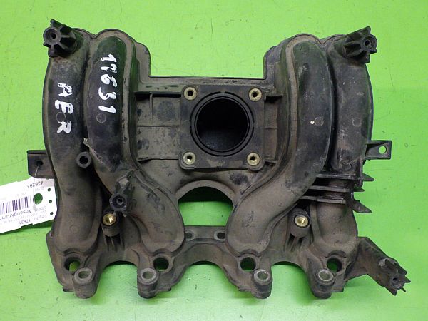 Ansaugkrümmer VW POLO (6N1)