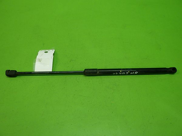 Tailgate gas strut CITROËN C4 II (NC_)
