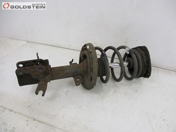 Federbein vorn RENAULT MEGANE III Coupe (DZ0/1_)