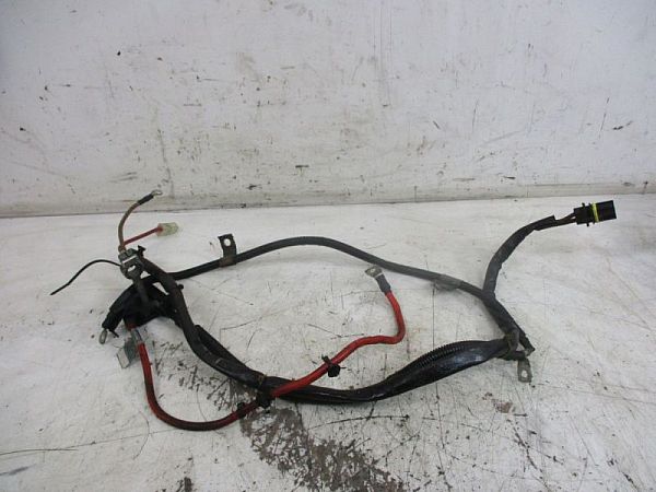 Starter motor wires