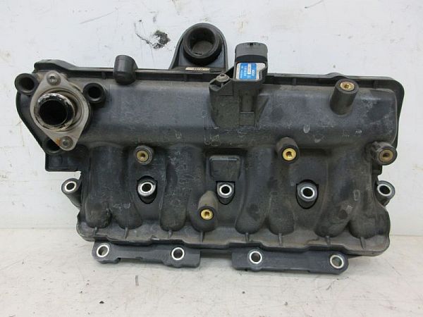 Ansaugkrümmer FIAT DOBLO Cargo (263_)