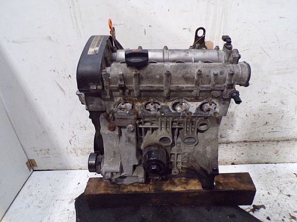 Motor SKODA FABIA II (542)