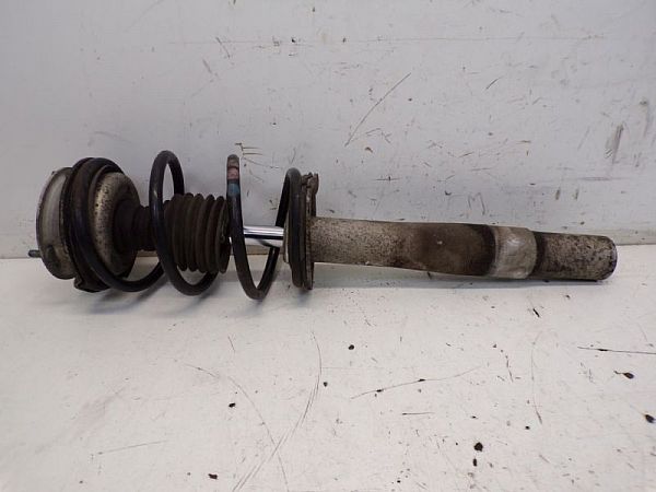 Front strut BMW 5 (E60)