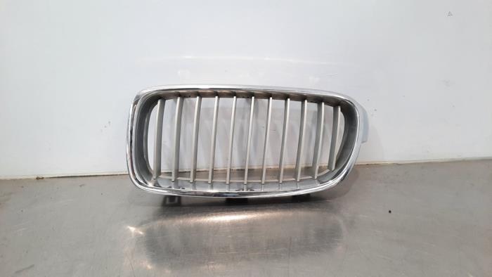 Front grille
