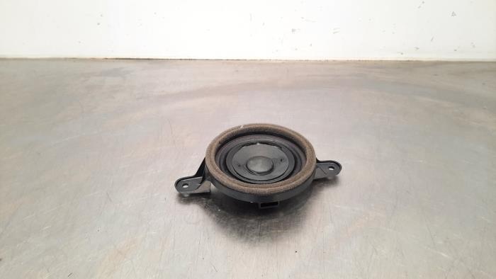 Front door speaker