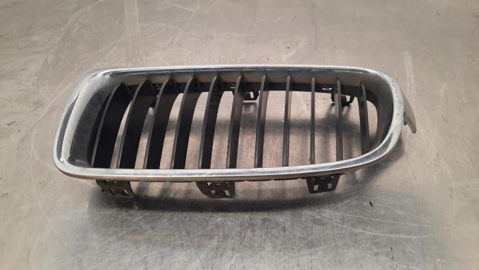 Grille de calandre avant