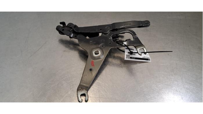 Hood hinges