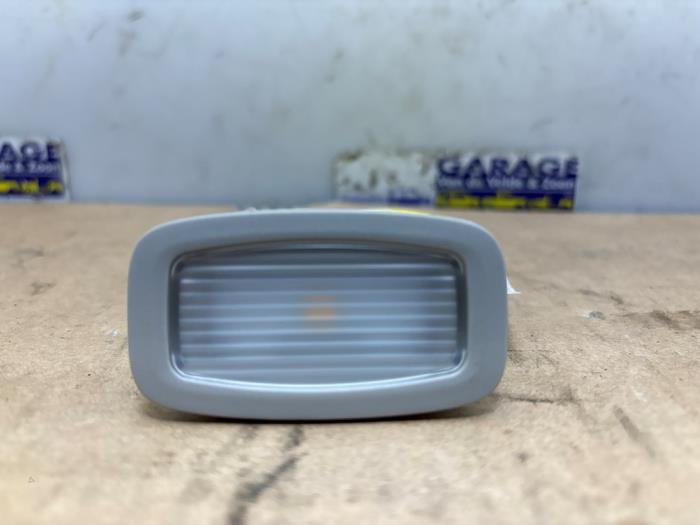 Door interior light