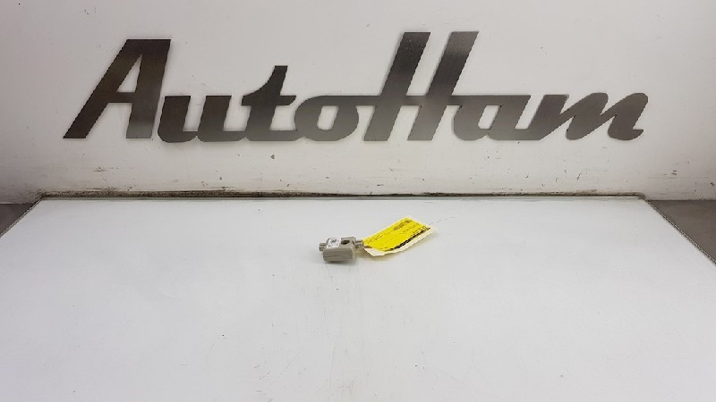 Antenne BMW X2 (F39)