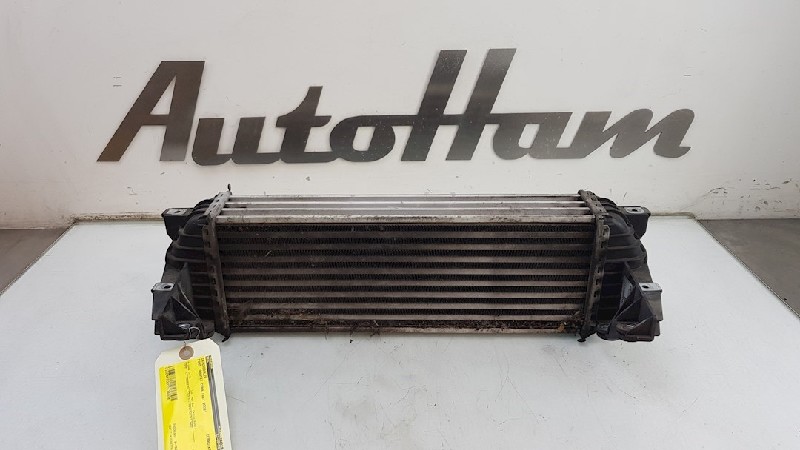 Luchtkoeling bagage FORD TRANSIT CONNECT (P65_, P70_, P80_)