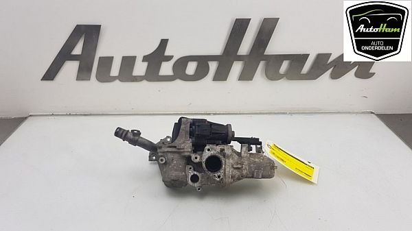 Egr ventil FORD FIESTA VI (CB1, CCN)