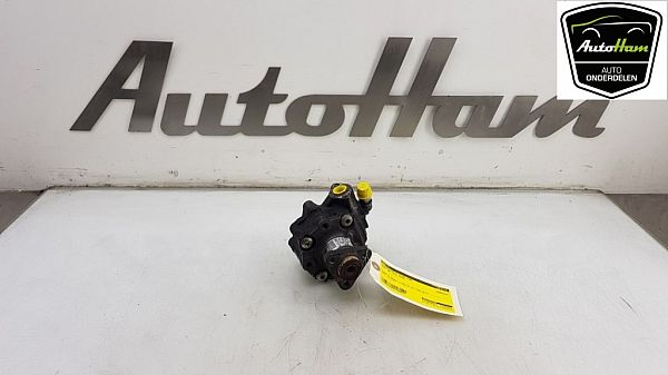 Servopumpe AUDI A6 (4F2, C6)