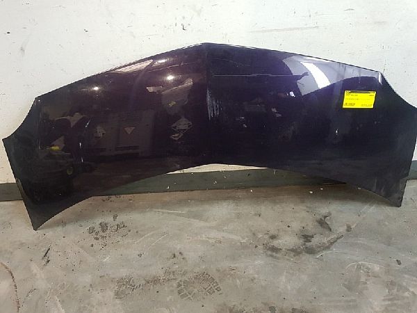 Dak (stof) RENAULT MODUS / GRAND MODUS (F/JP0_)