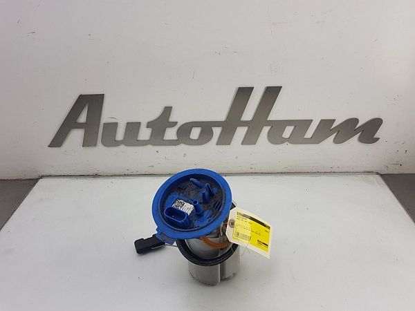 Brændstofpumpe AUDI A3 Sportback (8VA, 8VF)