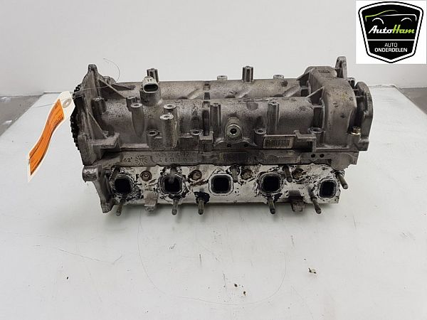 Zylinderkopf FIAT DOBLO Box Body/Estate (263_)