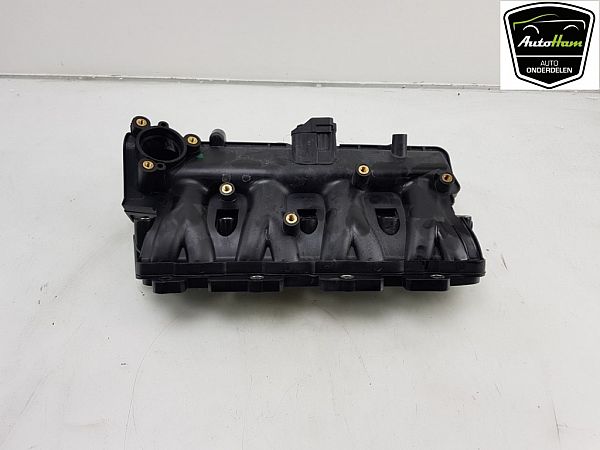 Ansaugkrümmer FIAT DOBLO Box Body/Estate (263_)