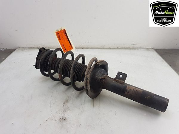 Fjederben for FORD TRANSIT CONNECT (P65_, P70_, P80_)