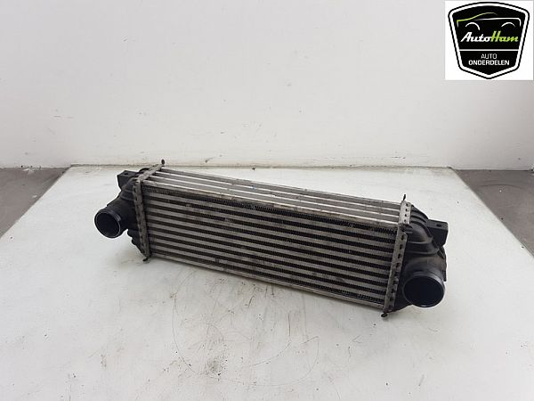 Luchtkoeling bagage FORD TRANSIT CONNECT (P65_, P70_, P80_)