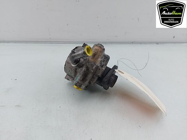 Servopumpe FIAT DOBLO Box Body/Estate (263_)