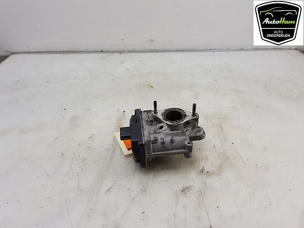 Egr ventil RENAULT MEGANE III Grandtour (KZ0/1)