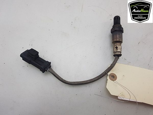 Lambda-Sonde OPEL CROSSLAND X / CROSSLAND (P17, P2QO)