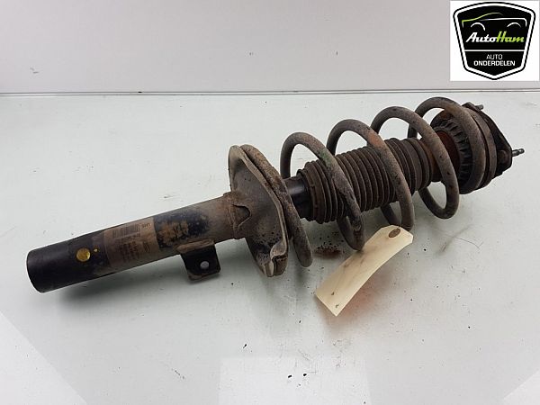 Fjederben for FORD TRANSIT CONNECT (P65_, P70_, P80_)