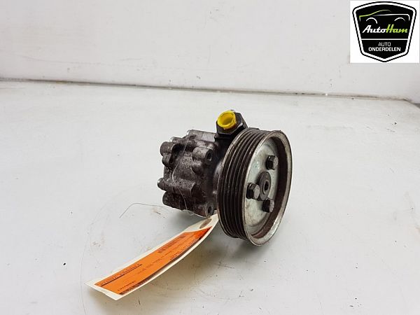 Servopumpe FIAT DOBLO Box Body/Estate (263_)