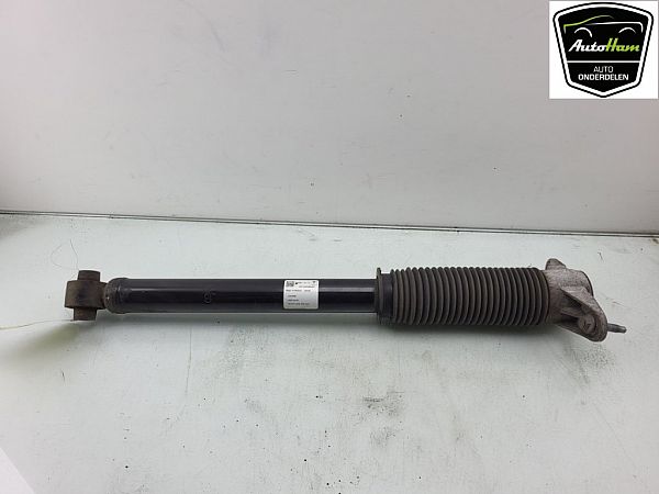 Amortyzator tylny TESLA MODEL 3 (5YJ3)