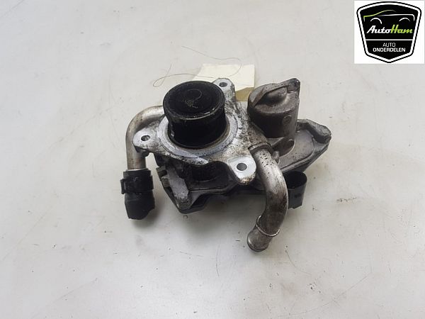 Egr ventil SEAT LEON (5F1)