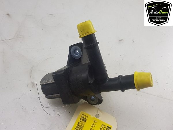 Wasserpumpe PEUGEOT 308 III