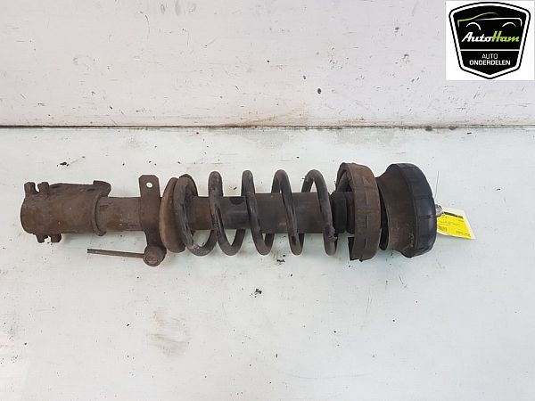 Federbein vorn NISSAN PRIMASTAR Box (X83)