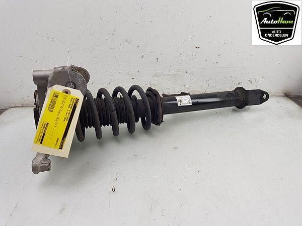 Federbein vorn TESLA MODEL 3 (5YJ3)