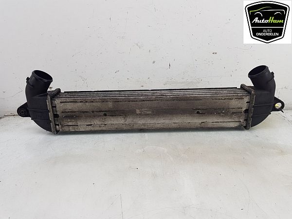 Luchtkoeling bagage FIAT DOBLO Cargo (223_)
