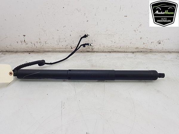 Lift BMW X5 (F15, F85)