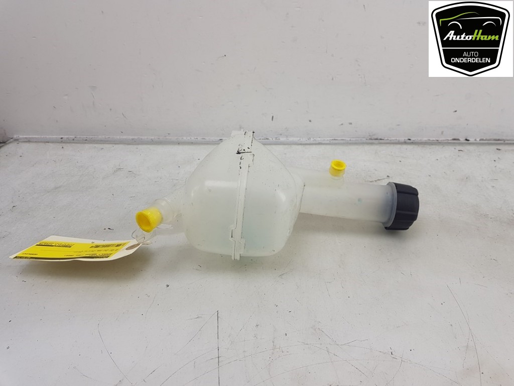 Ausgleichsbehälter RENAULT ARKANA I