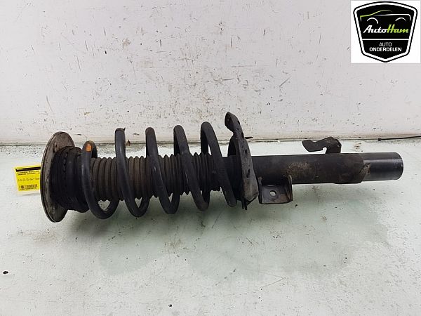 Federbein vorn LAND ROVER DISCOVERY SPORT (L550)