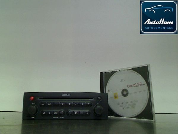Gps/navigationsdele RENAULT SCÉNIC II (JM0/1_)