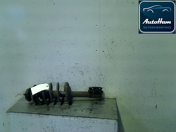 Federbein vorn DACIA LOGAN (LS_)