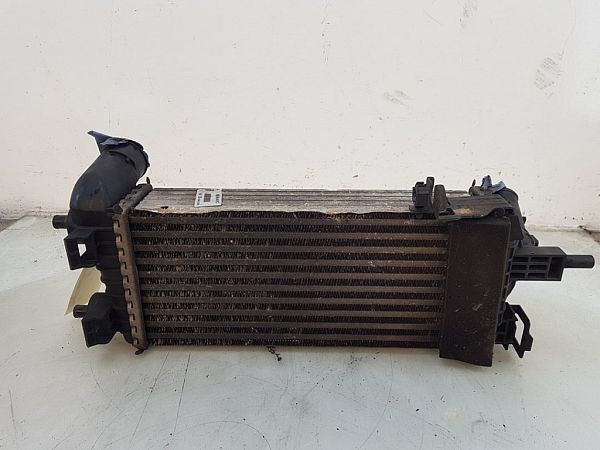 Ladeluftkühler FORD C-MAX II (DXA/CB7, DXA/CEU)