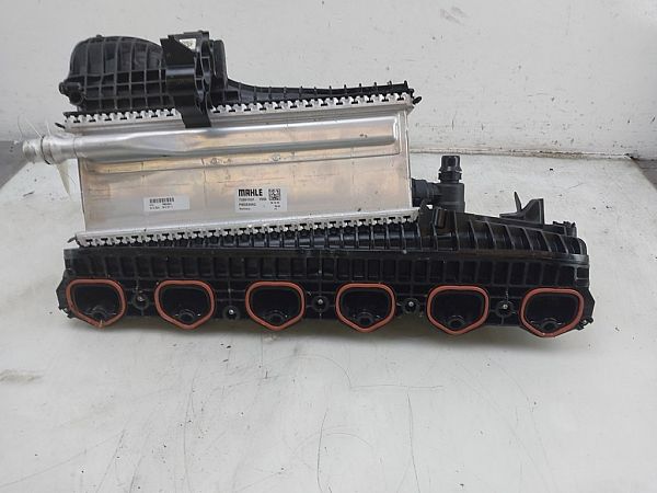 Ansaugkrümmer BMW X5 (G05, F95)