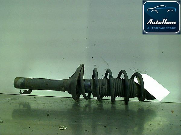 Fjederben for VW BORA (1J2)