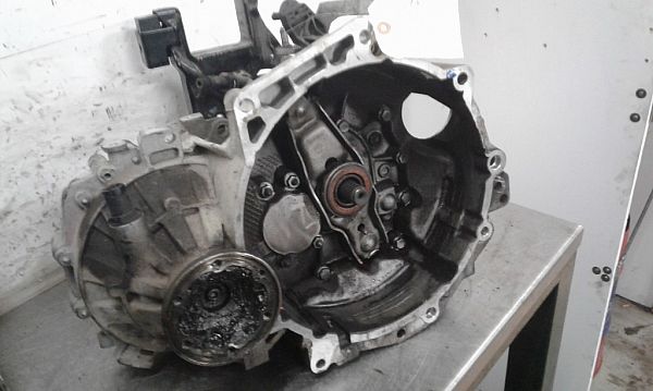 Schaltgetriebe SKODA FABIA II (542)