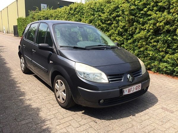 Schaltgetriebe RENAULT SCÉNIC II (JM0/1_)