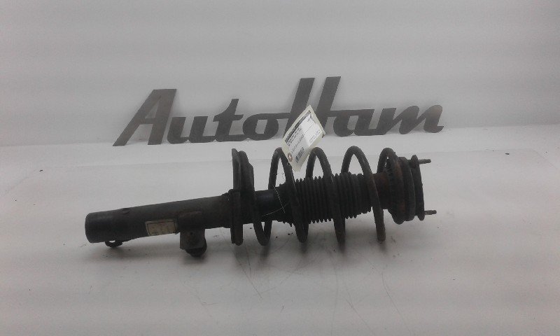 Fjederben for FORD TRANSIT CONNECT (P65_, P70_, P80_)