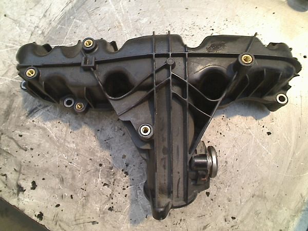 Intake manifold