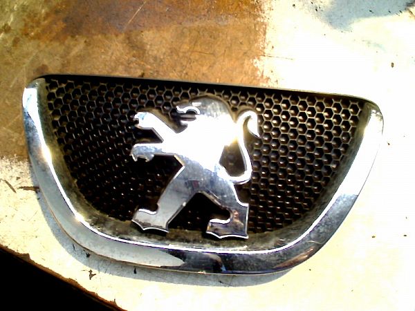 Grill PEUGEOT 107 (PM_, PN_)