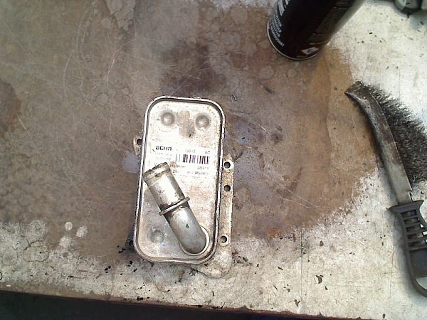 Engine oil radiator